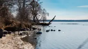 Półwysep Szeroki Ostrów, marzec 2025r. - zdjęcie 22