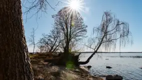 Półwysep Szeroki Ostrów, marzec 2025r. - zdjęcie 2