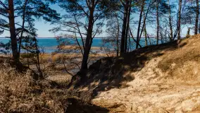 Półwysep Szeroki Ostrów, marzec 2025r. - zdjęcie 12