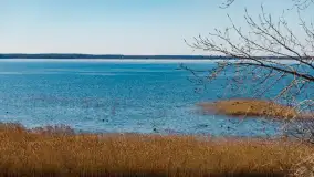 Półwysep Szeroki Ostrów, marzec 2025r. - zdjęcie 25