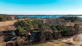 Półwysep Szeroki Ostrów, marzec 2025r. - zdjęcie 28