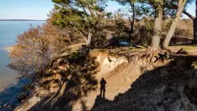 Półwysep Szeroki Ostrów, marzec 2025r. - zdjęcie 26