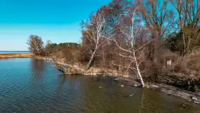 Półwysep Szeroki Ostrów, marzec 2025r. - zdjęcie 46