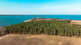 Półwysep Szeroki Ostrów, marzec 2025r. - zdjęcie 50