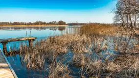 Plaża w Kleszczewie i jezioro Wojnowo, marzec 2025 r. - zdjęcie 7