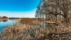 Plaża w Kleszczewie i jezioro Wojnowo, marzec 2025 r. - zdjęcie 23