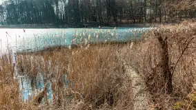 Plaża w Kleszczewie i jezioro Wojnowo, marzec 2025 r. - zdjęcie 40