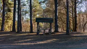 Pole biwakowe nad jeziorem Śniardwy. Okartowo, marze  2025r. - zdjęcie 12