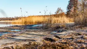 Pole biwakowe nad jeziorem Śniardwy. Okartowo, marze  2025r. - zdjęcie 28