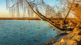 Zachód nad jeziorem Śniardwy, Szeroki Ostrów, marzec 2025 r. - zdjęcie 3