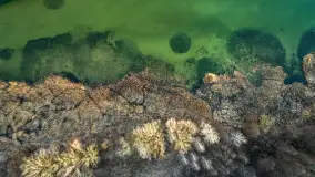 Zachód nad jeziorem Śniardwy, Szeroki Ostrów, marzec 2025 r. - zdjęcie 34