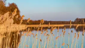 Zachód słońca nad Bindugą Zimny Kąt, marzec 2025r. - zdjęcie 27