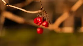 Zachód słońca nad Bindugą Zimny Kąt, marzec 2025r. - zdjęcie 29