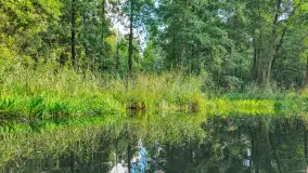 Mix ujęć z sezonu 2024 Michała cz. II - zdjęcie 20