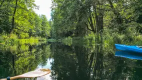 Mix ujęć z sezonu 2024 Michała cz. II - zdjęcie 17