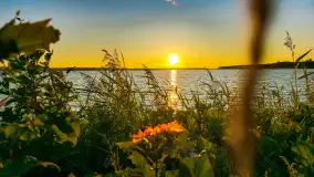 Mix ujęć z sezonu 2024 Michała cz. II - zdjęcie 22