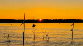 Mix ujęć z sezonu 2024 Michała cz. II - zdjęcie 8