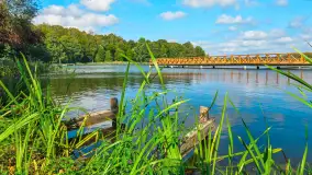 Mix ujęć z sezonu 2024 Michała cz. II - zdjęcie 30