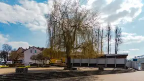 Spacer po Mikołajkach w marcowym słońcu. - zdjęcie 25