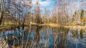 Spacer po Mikołajkach w marcowym słońcu. - zdjęcie 58