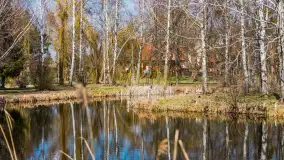 Spacer po Mikołajkach w marcowym słońcu. - zdjęcie 60