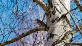 Spacer po Mikołajkach w marcowym słońcu. - zdjęcie 61