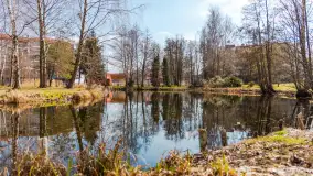 Spacer po Mikołajkach w marcowym słońcu. - zdjęcie 67