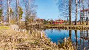 Spacer po Mikołajkach w marcowym słońcu. - zdjęcie 68