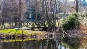 Spacer po Mikołajkach w marcowym słońcu. - zdjęcie 55