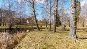 Spacer po Mikołajkach w marcowym słońcu. - zdjęcie 75