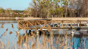 Słoneczny Ryn pod koniec marca - zdjęcie 37