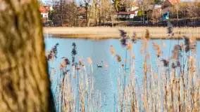 Słoneczny Ryn pod koniec marca - zdjęcie 43