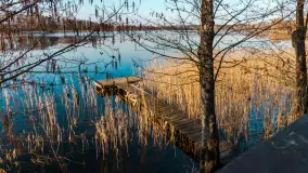 Słoneczny Ryn pod koniec marca - zdjęcie 48