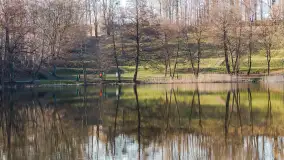 Słoneczny Ryn pod koniec marca - zdjęcie 49