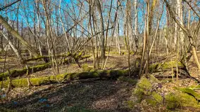 Rezerwat Przyrody Krutynia na wiosennych ujęciach, kwiecień 2025 r. - zdjęcie 17