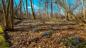 Rezerwat Przyrody Krutynia na wiosennych ujęciach, kwiecień 2025 r. - zdjęcie 12