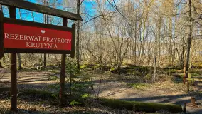 Rezerwat Przyrody Krutynia na wiosennych ujęciach, kwiecień 2025 r. - zdjęcie 11