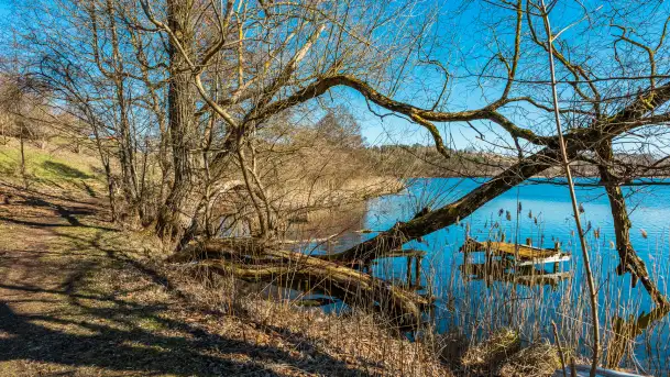 Wiosna w Mrągowie, końcówka marca 2023 r.