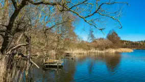 Wiosna w Mrągowie, końcówka marca 2023 r. - zdjęcie 23