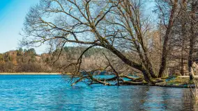 Wiosna w Mrągowie, końcówka marca 2023 r. - zdjęcie 34