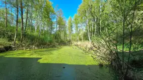 Śluza Leśniewo Górne, Kanał Mazurski, kwiecień 2025 r. - zdjęcie 6