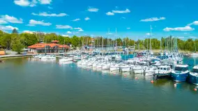 Wilkasy z lotu ptaka w wiosennej scenerii, maj 2025 r. - zdjęcie 11