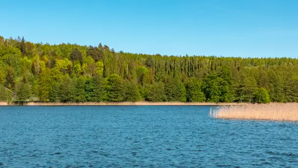 Jezioro Czos, Mrągowo widziane z wody, maj 2025 r. - zdjęcie 9