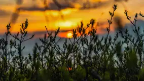 Zachód słońca nad jeziorem Niegocin, Bystry, dzika plaża, kwiecień 2025 - zdjęcie 10