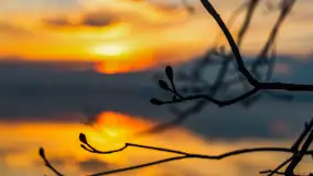 Zachód słońca nad jeziorem Niegocin, Bystry, dzika plaża, kwiecień 2025 - zdjęcie 14