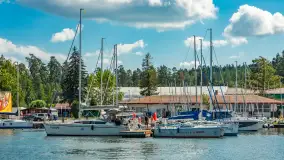 Niedzielny poranek w porcie AZS Wilkasy nad Niegocinem, lipiec 2025 r. - zdjęcie 8