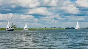 Jezioro Niegocin widziane z Wilkas, lipiec 2025 r. - zdjęcie 10