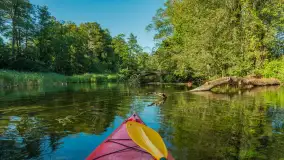 Popołudniowy spływ na Krutyni, sierpień 2025 r. - zdjęcie 4