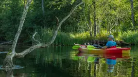 Popołudniowy spływ na Krutyni, sierpień 2025 r. - zdjęcie 10