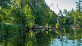 Popołudniowy spływ na Krutyni, sierpień 2025 r. - zdjęcie 5